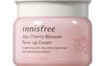INNISFREE 濟州櫻花亮顏霜