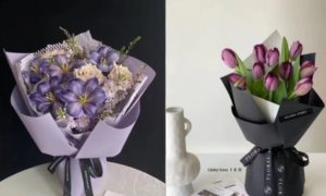 紫色鬱金香花語