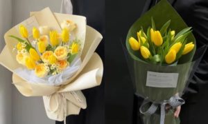 黃色鬱金香花語